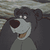 СанR